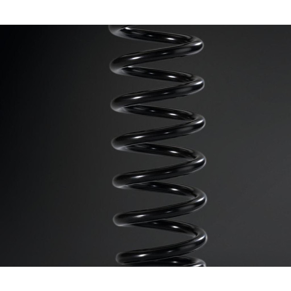 Kawasaki REAR SHOCK SPRING